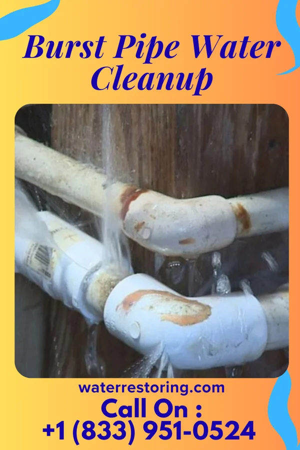 Burst Pipe Water Cleanup in Little Sioux, IA